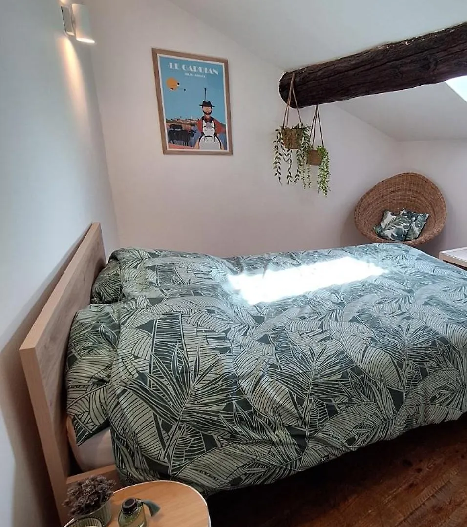 La Garriguette Appart Centre Historique Calme Climatise 6 A 8 Couchages Arles